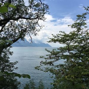 Meet your Posher, Janett